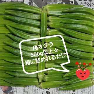 【無農薬】角オクラ500グラム ☆(野菜)