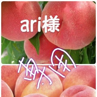 🍑ari様専用🍑8月1日以降発送(フルーツ)