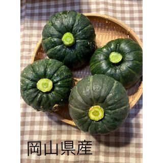 坊ちゃんかぼちゃ(野菜)