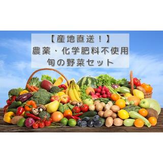 【農薬化学肥料不使用】季節のお野菜セット　M(野菜)