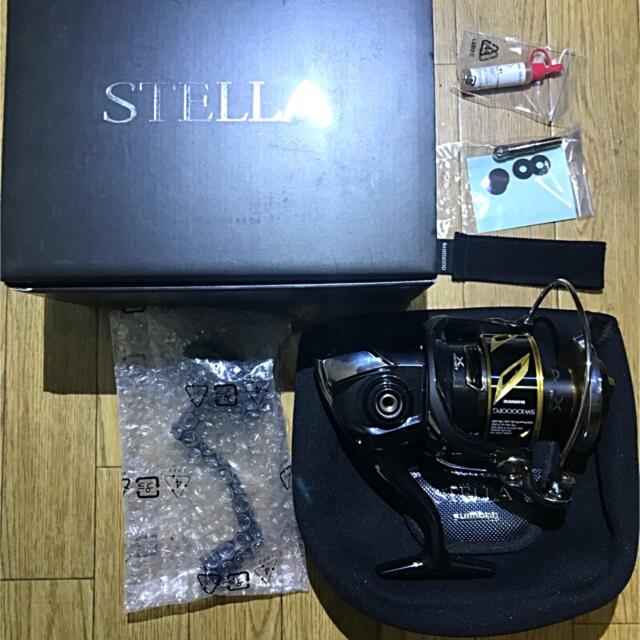 未使用19ステラ sw 10000PG