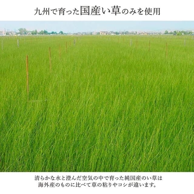 日本製 国産 い草 ラグ マット モダン シンプル 抗菌防臭 自然素材 ワイン