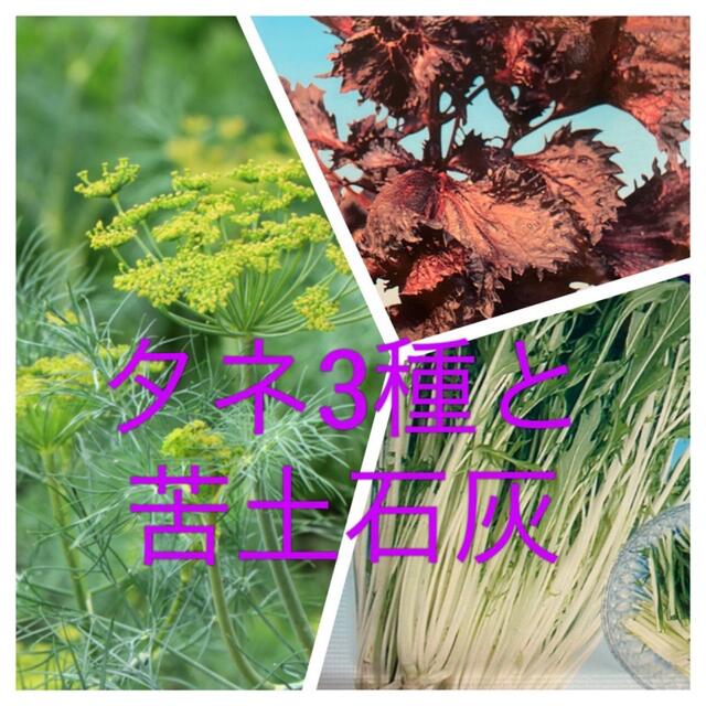 野菜 家庭菜園 種 セット 苦土石灰 オマケ付き 食品/飲料/酒の食品(野菜)の商品写真