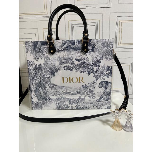 Dior(ディオール)のディオール紙袋&クリアバックのセット レディースのバッグ(トートバッグ)の商品写真