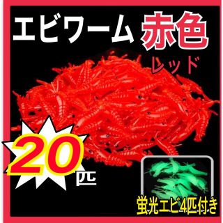 エビワーム赤色20匹+蛍光エビ4匹付き(ルアー用品)