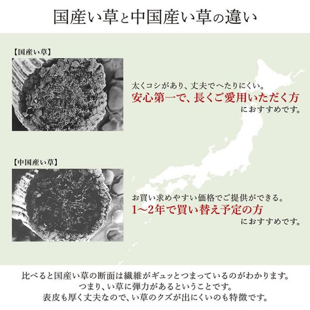 日本製 国産 い草 ラグ マット モダン シンプル 抗菌防臭 自然素材 ワイン 3