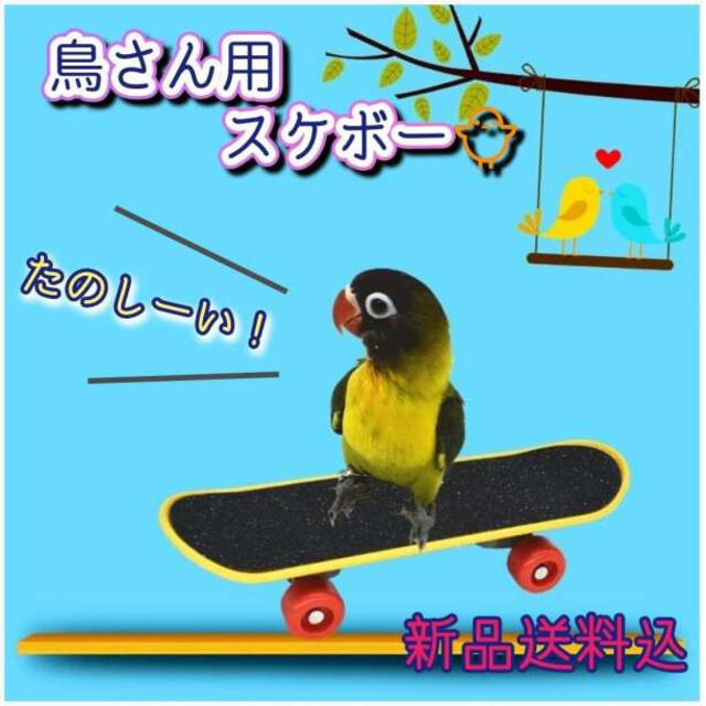 ミニ スケートボード 鳥用 小鳥 バードトイ ストレス解消 玩具 ミニ玩具