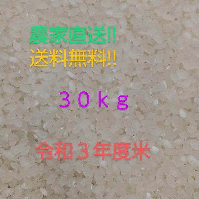 お米 愛媛県産 ヒノヒカリ   玄米30kg