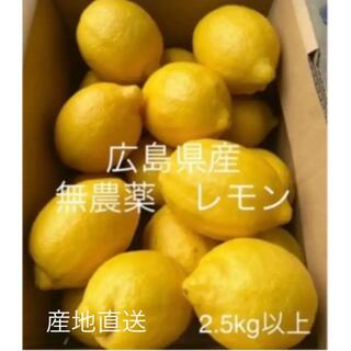 国産　レモン　広島県産　無農薬　レモン　瀬戸内レモン　2.5kg   産地直送(フルーツ)