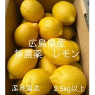 国産　レモン　広島県産　無農薬　レモン　瀬戸内レモン　2.5kg   産地直送(フルーツ)