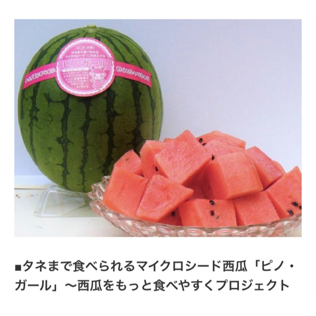 ピノガール 4玉 小玉スイカ 茨城県産