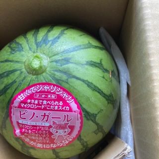 ピノガール 4玉 小玉スイカ 茨城県産の通販 by ゆい's shop|ラクマ