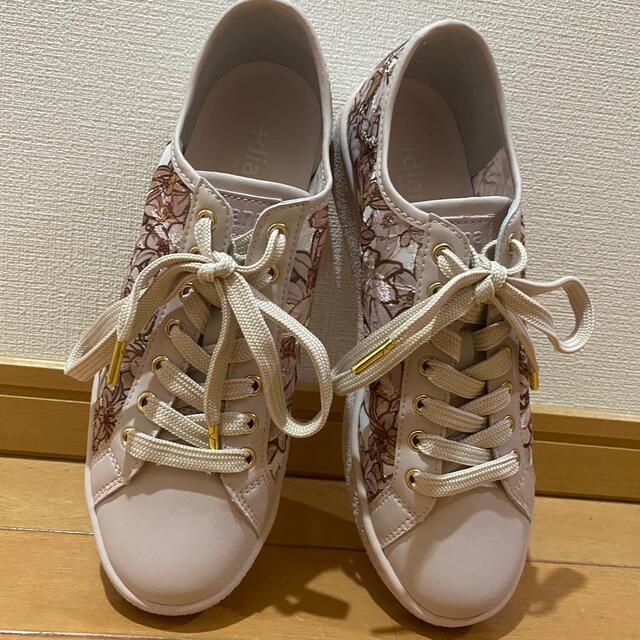 DIANA ミュシャ スニーカー
