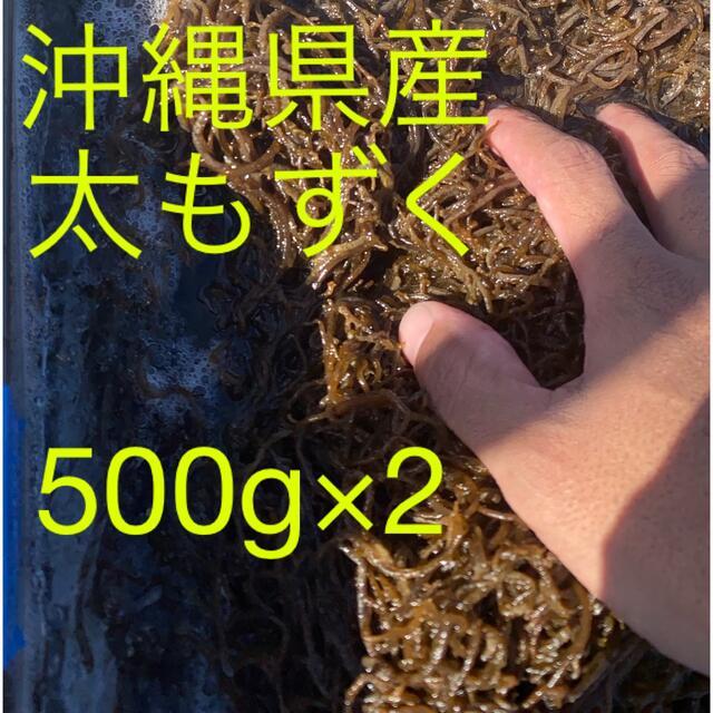 沖縄県産　太もずく（塩蔵）　500g  2パック　漁師直送　送料無料 食品/飲料/酒の食品(野菜)の商品写真