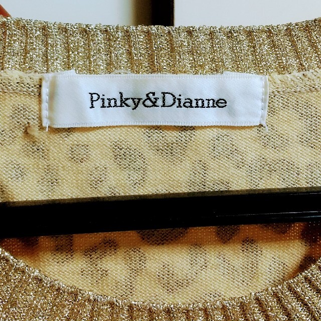 Pinky&Dianne(ピンキーアンドダイアン)のpinky&dianne 豹柄 サマーニット  h&m ZARA レオパード レディースのトップス(カットソー(半袖/袖なし))の商品写真