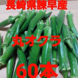 長崎県諫早産 丸オクラ 60本(野菜)