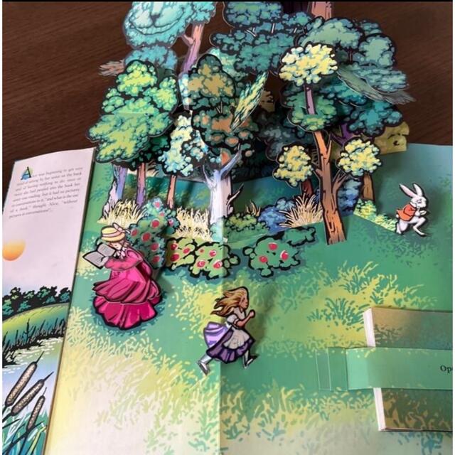 ALICE'S ADVENTURES IN WONDERLAND エンタメ/ホビーの本(絵本/児童書)の商品写真