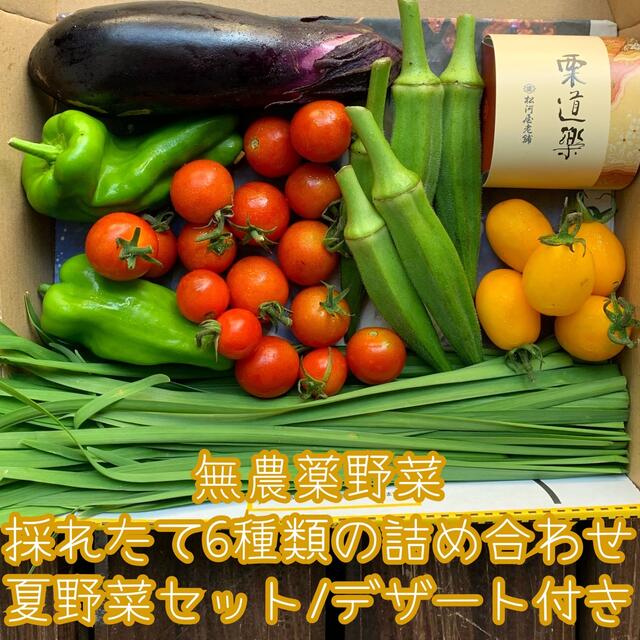 無農薬野菜＊採れたて6種類の詰め合わせ＊夏野菜セット＊夏のデザート付＊コンパクト 食品/飲料/酒の食品(野菜)の商品写真