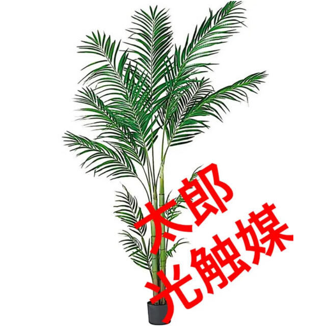 光触媒 人工観葉植物 ウォールグリーン フェイク フラワー アレカヤシ210-