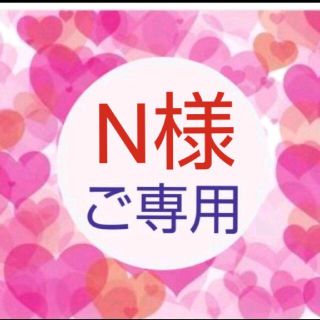 ✨N様ご専用✨ロルバーン ダイアリー スケジュール 2022(カレンダー/スケジュール)