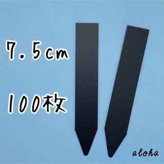 ブラック　多肉植物 アガベ サボテンに◎ 園芸用 ラベル ネームラベル 100枚(その他)