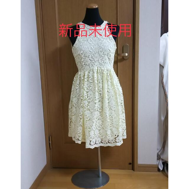 ZARA - 【新品未使用】お値下げ可能❤️レア❤︎薔薇レースワンピース