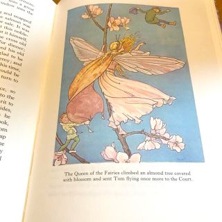 イギリスの挿絵の可愛い児童書 絵本 洋書マーガレットタラントの通販