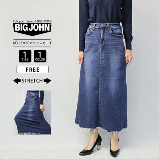 ビッグジョン(BIG JOHN)のビッグジョン デニムスカート BIG JOHN レディース☆値下げ中☆(ロングスカート)