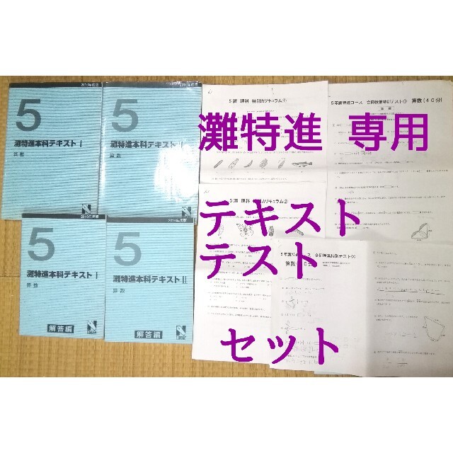 5年 灘特進 難問 算数  特別テストセット  灘合格 最難関  日能研 夏期