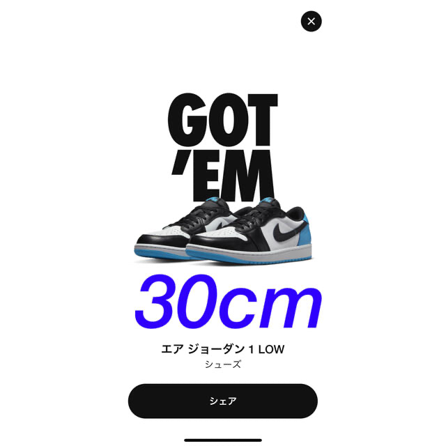 NIKE AIR JORDAN1 UNC エアジョーダン1  30cmナイキ