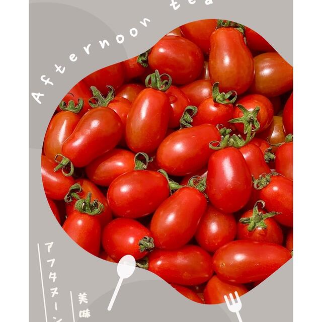 地中海ミニトマト　ロッソナポリタン　美肌機能食材　無農薬採れたて　3㎏ 食品/飲料/酒の食品(野菜)の商品写真