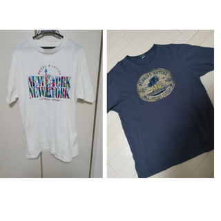 NY フロリダ Tシャツ 2枚セット ビックサイズ レディース メンズ(Tシャツ/カットソー(半袖/袖なし))