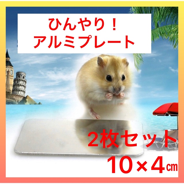 冷感アルミプレート 10×6cm クール 小動物 熱中症対策 ハムスター ペット