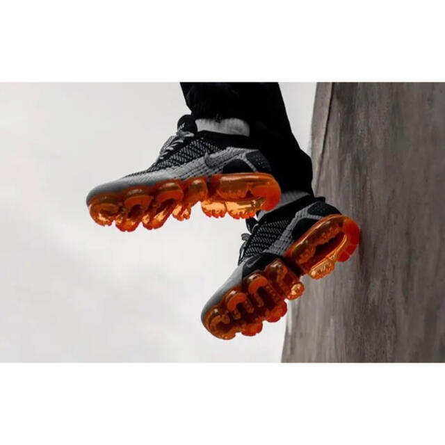 NIKE(ナイキ)の美品希少 ナイキ AIR VAPORMAX フライニット 2 サファリ 27.5 メンズの靴/シューズ(スニーカー)の商品写真