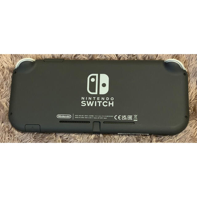 Nintendo Switch(ニンテンドースイッチ)のNintendo Switch Liteグレー+ 世界のアソビ大全51 エンタメ/ホビーのゲームソフト/ゲーム機本体(家庭用ゲーム機本体)の商品写真