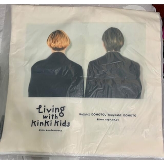 キンキキッズ(KinKi Kids)のLiving with KinKi Kids クッションカバーA 手鏡付き(ミュージシャン)