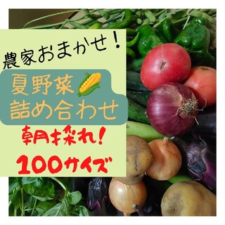 人気夏野菜詰め合わせ たっぷり100サイズ(野菜)