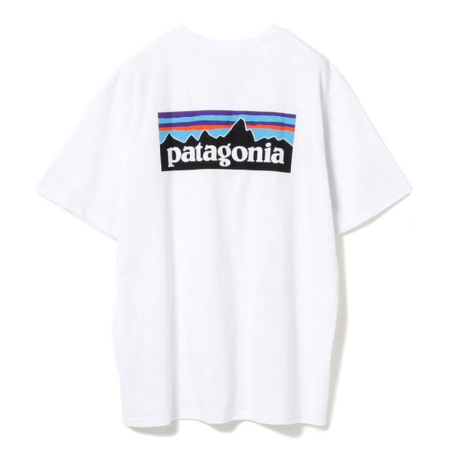 正規品 パタゴニア Patagonia /Tシャツ、ショーパン セット 7