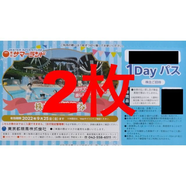 東京サマーランド 株主ご招待券1DAYパス2枚　ミニレター発送 チケットの施設利用券(遊園地/テーマパーク)の商品写真