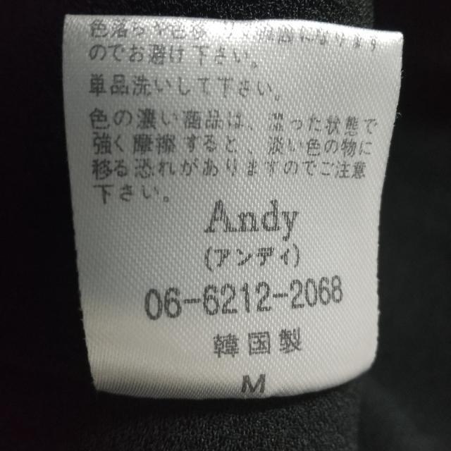 Andy(アンディ)のアンディ ワンピース サイズM レディース - レディースのワンピース(その他)の商品写真