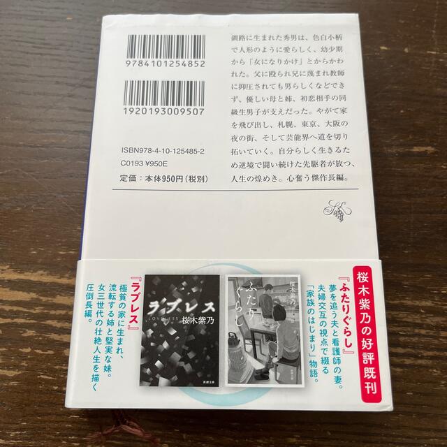 角川書店(カドカワショテン)の緋の河 エンタメ/ホビーの本(その他)の商品写真