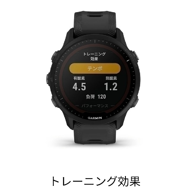 Forerunner 955 Dual Power