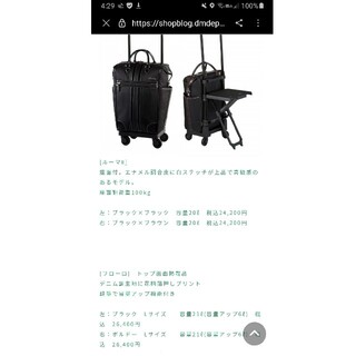 syumi2928様　取り置き専用　　　　　SWANY キャリーバッグ(スーツケース/キャリーバッグ)