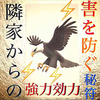 護符✨ ◉隣家からの害を防ぐ秘符◉[✨家内安全、災難除け、霊符、お守り、占い](その他)