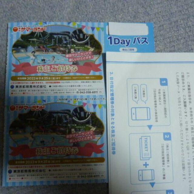 複数可能 2枚 東京サマーランド 株主ご招待券フリーパス優待券チケットプールの通販 by chika0527's shop|ラクマ 複数可能 2枚 東京サマーランド 株主ご招待券フリーパス優待券チケットプールの通販 by chika0527's shop|ラクマ