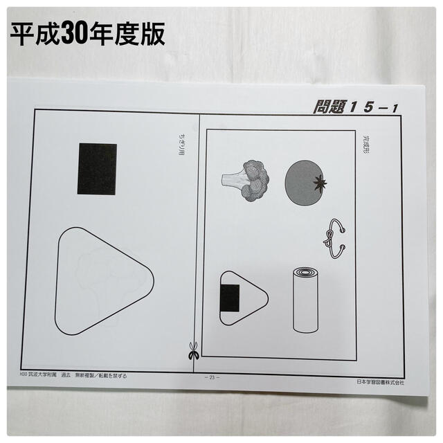 筑波大学附属小学校 問題集 日本学習図書（ニチガク） 過去問題集 平成