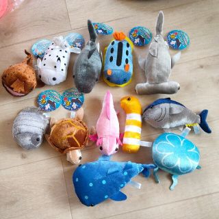 海の生き物ぬいぐるみセット⭐️