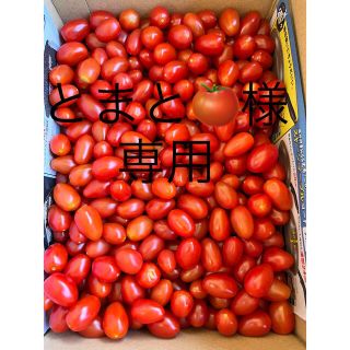 とまと🍅様　4キロ　常温(野菜)