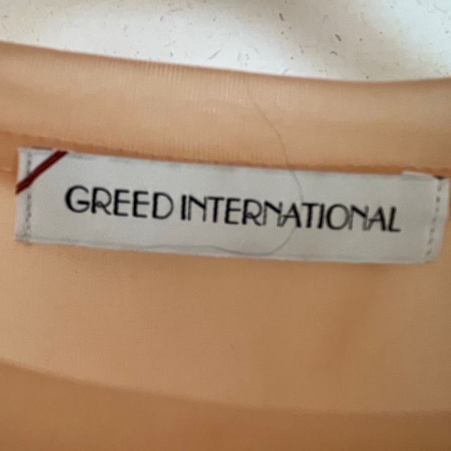 GREED(グリード)のグリードGREEDシアーTシャツベージュ レディースのトップス(Tシャツ(半袖/袖なし))の商品写真