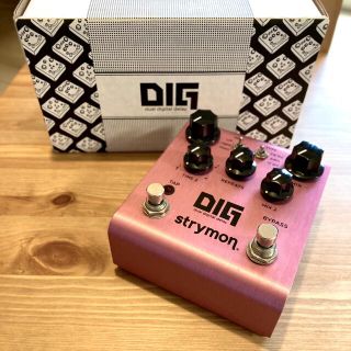 strymon DIG dual digital delay(エフェクター)